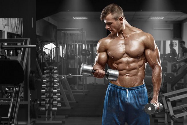 Formation sur les stéroïdes pour augmenter la masse musculaire et renforcer les muscles